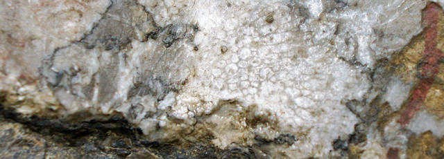 四国西予ジオパーク